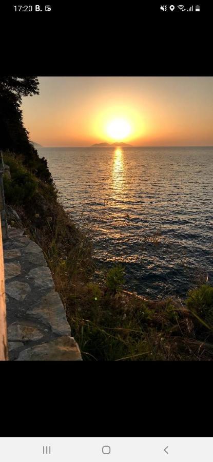 Villa Amos At Aquamarine Residence Vlorë エクステリア 写真